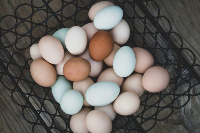 Chicken Eggs
